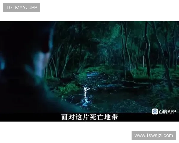 《死亡地带》第二季：深入绝境，生死抉择，人性暗夜的极致拷问