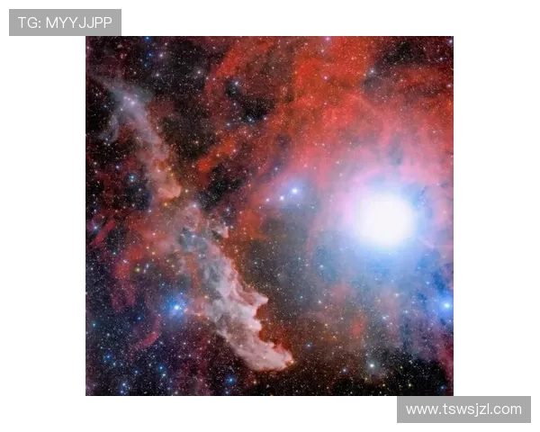 尘埃之下，亦有星光：那些被遗忘的“人间残渣”，如何重塑自我